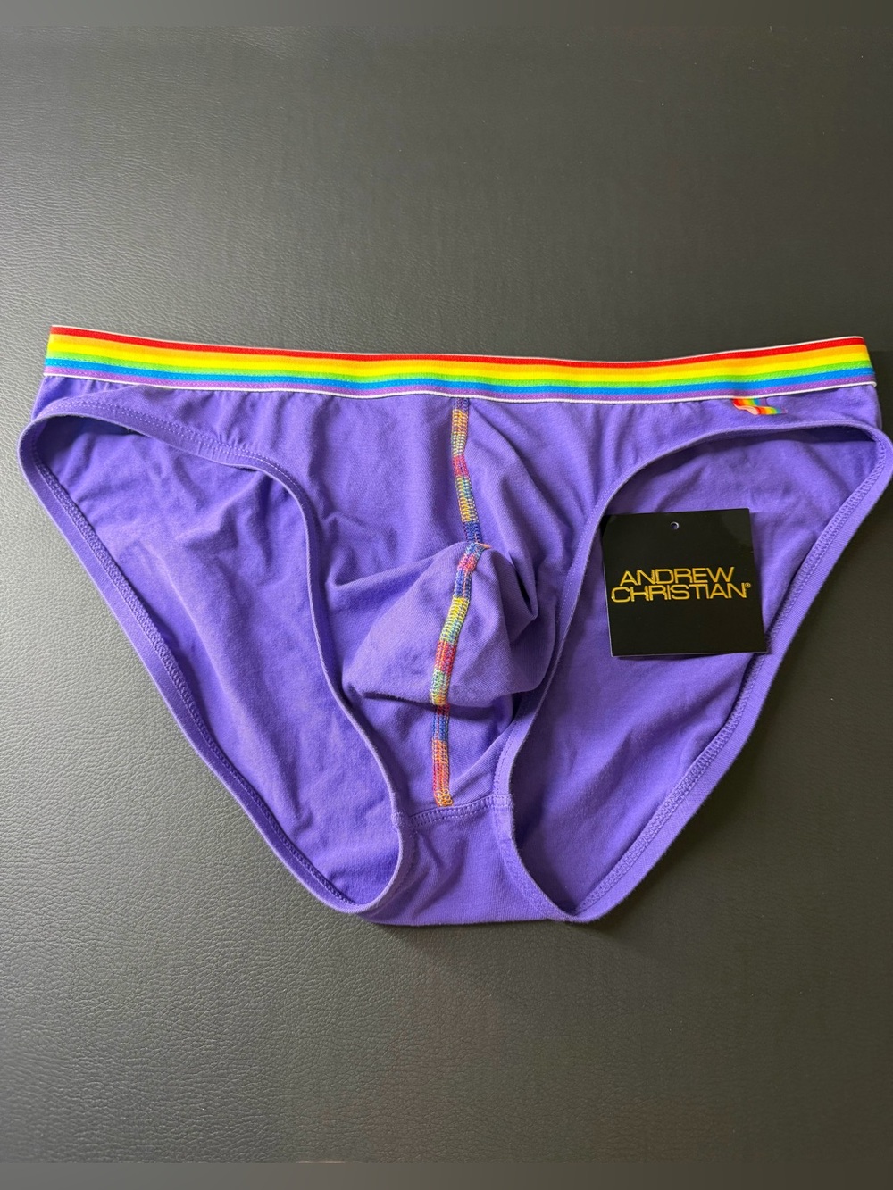 Andrew Christian Pride Briefs Large Purple with Rainbow Trim